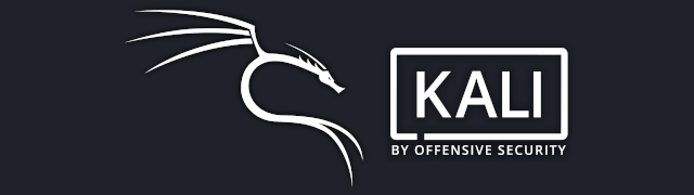 Kali Linux Installer 2020 64 bits